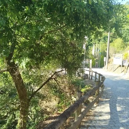 Casa Da Calcada - Casa Inteira Seia
